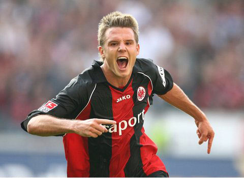 游客可以 游客可以